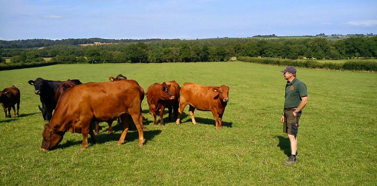 Hallwood Farm